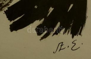 Szász Endre (1926-2003): Férfi portré. Tus, papír, jelzett (Sz.E), üvegezett keretben, 27×17 cm