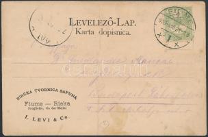 Fiume, Riecka Tvornica Sapuna / I. Levi & Co. szappangyár /  soap factory, litho (fa)