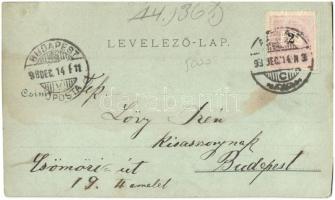 Dálya, Dalj; Damplfähre zwischen Gombos-Erdőd die Auffahrt eines Lastzuges / gőzkomp Gombos és Erdőd...