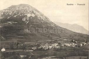 Razdrto, Praewald; general view (EK)