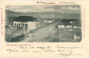 1899 Csíkszereda, Miercurea Ciuc; Nagyerdői út, Wlaszlowits Gusztáv, György Jakab Márton kiadása / street view (EK)