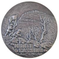 NSZK ~1960-1970. "Ejtőernyős" sapkajelvény + 1989. "Monte Cassino" kétoldalas ez...