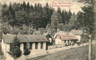 Steierlak Denz Károly üzlete