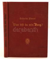 Pfannl, Heinrich: Was bist du mir, Berg? Schiften und Reden. Bécs, 1929, Österreichischer Alpenklub. Kicsit kopott vászonkötésben, egyébként jó állapotban.