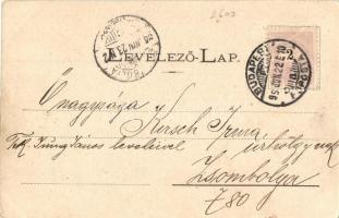 1899 Budapest XII. Svábhegy, Fogaskerekű vasút, úr esernyővel (EK)