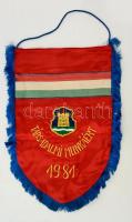 Retro címeres selyem zászló, Társadalmi munkáért 1981, 46×31 cm