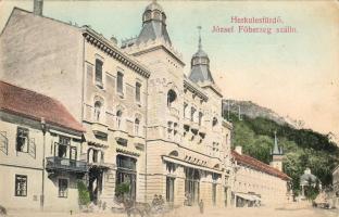 Herkulesfürdő (fa)