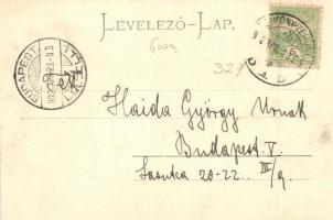 Zimony, Zemun, Semlin; Hauptgasse / Fő utca, Friedmann üzlete / main street, shops (EK)