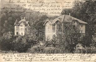 Menyháza, Moneasa; Aradi és Csanádi Egyesült Vasutak (ACsEV) villája és a Sata-lak / Arad & Csanád United Railways' villas (EK)