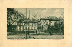 Zsombolya, Jimbolia; Gróf Csekonics kastély, W. L. Bp. 6646. / castle (EK)