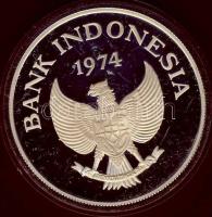 Indonézia 1974. 5000R Ag "Orángután" T:PP