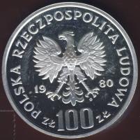 Lengyelország 1980. 100Zl Ag "Madarak" próba T:PP Tanúsítvánnyal!