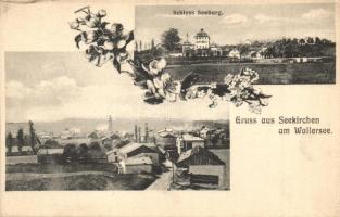 Seekirchen am Wallersee; Schloss Seeburg / general view, castle, floral, Joh. Rindberger (EK)