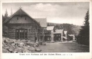 Szebenjuharos, Hohe Rinne, Paltinis; Kurhaus 'Tannhof' auf der hohen Rinne / gyógyház a hegyen / spa, mountain (EK)