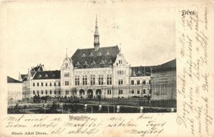 Déva, Deva; Megyeház, Hirsch Adolf kiadása / county hall (EK)