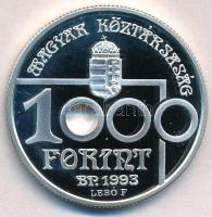1993. 1000Ft Ag "Labdarúgó VB" "MNB" dísztokban T:PP
Adamo EM132