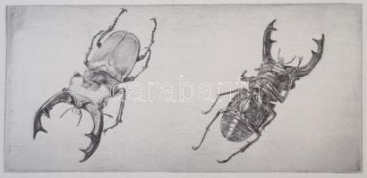 Zsigovics Iván (1958- ): 8 db kisgrafika, rézkarc, papír, részben jelzett, különböző méretben