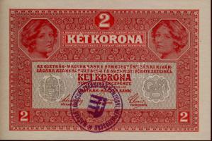 1917. 2K lila "Magyar Tanácsköztársaság Pénzügyi Népbiztosság" körbélyegzővel T:I
