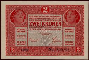 1917. 2K lila "Magyar Tanácsköztársaság Pénzügyi Népbiztosság" körbélyegzővel T:I