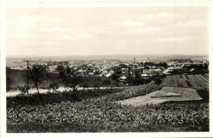 Rimaszombat, Rimavska Sobota; látkép / general view