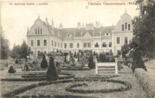 Tőketerebes, Trebisov; Gróf Andrássy kastély a parkkal. Schubernig Péter felvétele / castle with park  (EK)