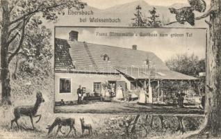 Ebersbach bei Weissenbach, Franz Mittermüllers Gasthaus zum grünen Tal / guest house, decorated frame with animals