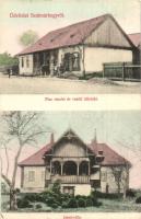 Szatmárhegy, Viile Satu Mare; Hirsch Lázár üzlete, piac részlet, vasútállomás, Jenei villa, Hirsch Lázár saját kiadása / shop, market, railway station, villa (EK)