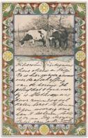 10 db RÉGI birkát és marhát ábrázoló motívumlap, vegyes minőség / 10 pre-1945 sheep and cattle motiv...