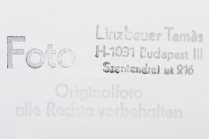cca 1960-1970 Linzbauer Tamás: Budapesti villamosok, 5 db pecséttel jelzett fotó, 9x12 cm és 9x14 cm...