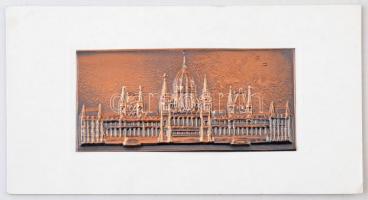 1976. "100 éves a Magyar Optikai Művek 1876-1976 / Centenárium" jelzetlen Ag emlékérem, li...