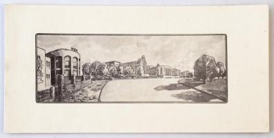 1976. "100 éves a Magyar Optikai Művek 1876-1976 / Centenárium" jelzetlen Ag emlékérem, li...