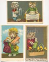 3 db RÉGI macskás motívumlap, litho / 3 pre-1945 cat motive cards, litho
