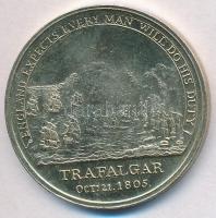Nagy-Britannia DN "Horatio Nelson / Trafalgar 1805. okt. 21." fém emlékérem (32mm) T:2
Gr...