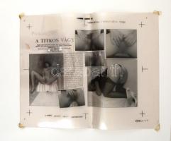 'A titkos vágy' erotikus fotónegatív nyomdai levonata, 41x50 cm.