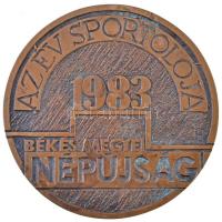 Rajki László (1939-) 1983. "Az Év Sportolója - Békés Megyei Népújság" Br díjplakett (117mm...