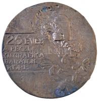 Soltra Elemér (1922-2013.) 1987. "25 éves a pécsi Kisgrafika Barátok Köre" Br plakett, cizelállatlan (91mm) T:2 kis patina