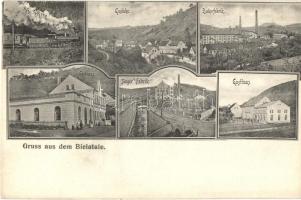 Bielatal, Nach Teplitz, Gaslicke, Zuckerfabrik, Singer Fabrik, Gasthaus / locomotive, sugar factory, guest houses. Verlag von J. M. Pursch, Dauba (cut)