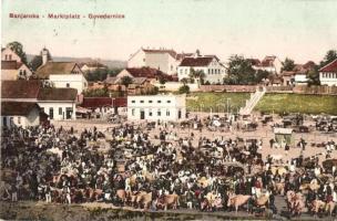 Banjaluka, Marktplatz / Govedarnica / market