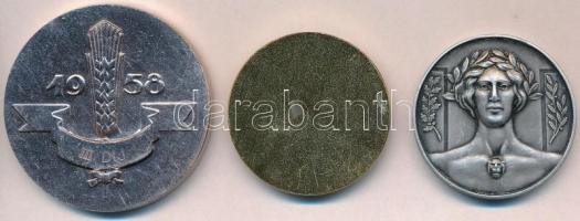 1950. "MHK - Sporttal az 5 éves tervért" patinázott Al díjplakett (40mm) + 1958. "62....