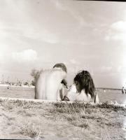 cca 1965 Velencei-tó, Sinka Antal - a velencei Agrokomplex fotósának - képriportja, 8 db vintage neg...