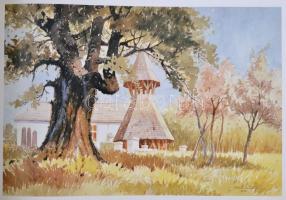 Jakab István László:"...hol sírjaink domborul..." Erdély magyar népi építészete. Bp., 1988...