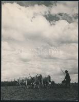 1936 Osoha László: Szántás, pecséttel jelzett vintage fotóművészeti alkotás, 22,5x17,5 cm