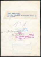 cca 1938 Modellfotó, pecséttel jelzett, feliratozott vintage fotó, 22x15 cm