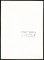 cca 1950 Szöllősy Kálmán (1887-1976): Hegedűművész, pecséttel jelzett vintage fotóművészeti alkotás,...