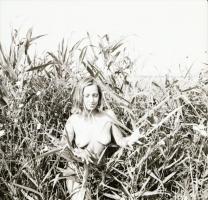 1986 Pákozd, nádi romantika, 10 db szolidan erotikus felvétel, vintage negatívok, 6x6 cm / 10 erotic...