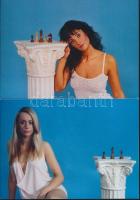 8 db MODERN megíratlan erotikus sakk képeslap / 8 MODERN unused erotic chess postcards