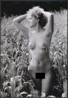 cca 1973 A termékenység dicsérete, 3 db szolidan erotikus fénykép, vintage negatívokról készült mai nagyítások, 25x18 cm / 3 erotic photos, 25x18 cm