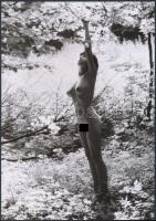 cca 1973 A termékenység dicsérete, 3 db szolidan erotikus fénykép, vintage negatívokról készült mai ...