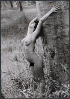 cca 1976 A fák szeretete, 3 db szolidan erotikus fénykép, vintage negatívokról készült mai nagyítások, 25x18 cm / 3 erotic photos, 25x18 cm