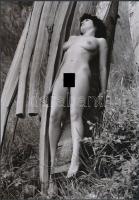 cca 1976 A fák szeretete, 3 db szolidan erotikus fénykép, vintage negatívokról készült mai nagyításo...